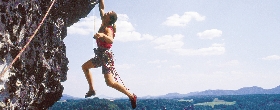 Link billede